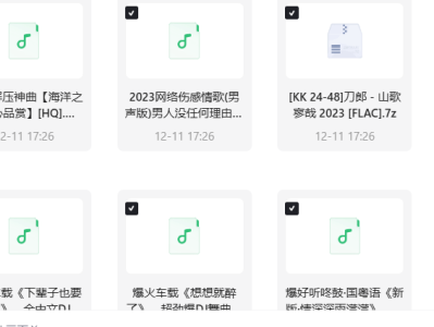 车载音乐 DJ串烧劲爆歌曲三百首